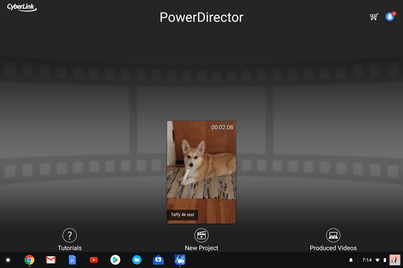 Power Director