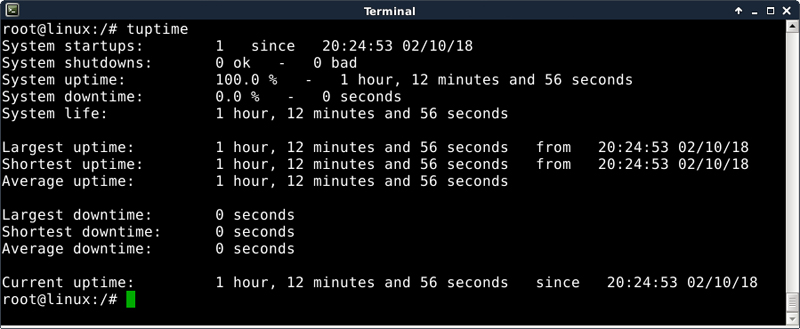 Terminal