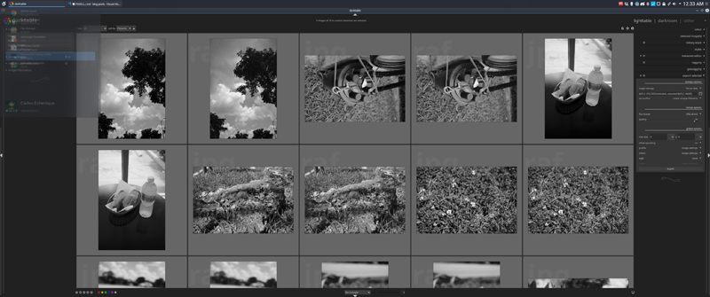 Darktable