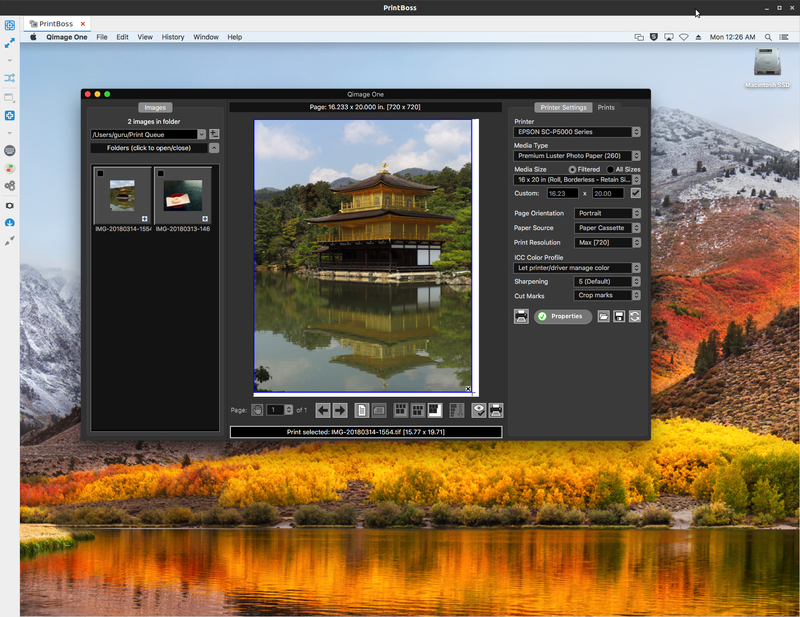 Qimage One